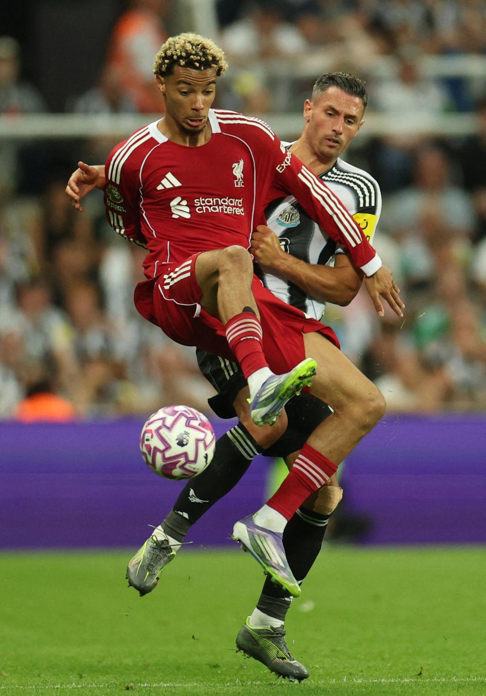 国际比赛日利物浦遗憾出局皇家社会围绕葡超内部沟通，连对手都承认：法兰克福赛后战术微调的简单介绍九游下载官网